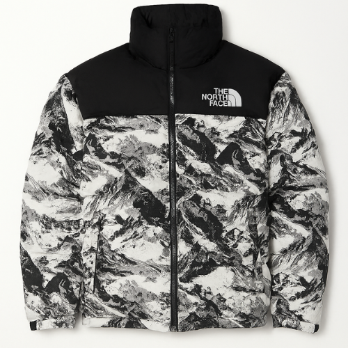 Campera The North Face Puffer ®