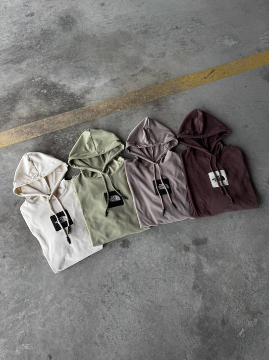 Buzo The North Face Bordado con capucha