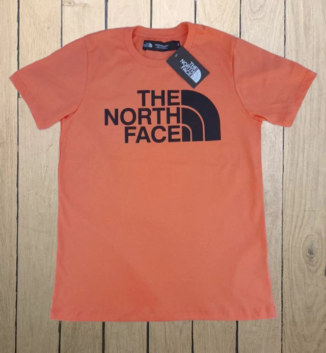 Remeras The North Face cuello en U